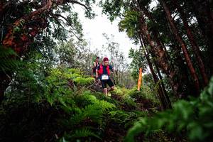 BIB: 
                            <button type="button" onclick="openModal(26204001)" class="btn btn-primary btn-sm float-right btn-popup" data-toggle="modal" data-target=".modal-high-quality">
                        <i class="fas fa-shopping-cart"></i> Add to Cart
                    </button>
                                            <button type="button" onclick="isThisMe(26204001, true)" class="btn btn-success btn-sm float-right btn-popup btn-isme hidden" data-toggle="tooltip" data-placement="bottom" title="นี่คือรูปของคุณใช่ไหม คลิกที่นี่เพื่อเอาเข้าอัลบั้ม">
                        <i class="fas fa-plus"></i> Add to album
                    </button>
                    <button type="button" onclick="isThisMe(26204001, false)" class="btn btn-warning btn-sm float-right btn-popup btn-isnotme hidden">
                        <i class="fas fa-ban"></i> Remove from album
                    </button>